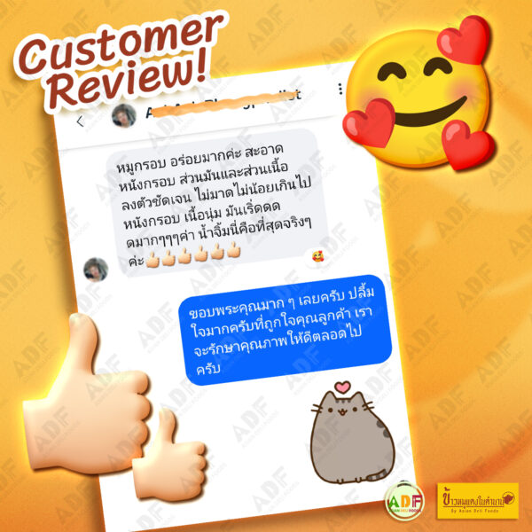 Review-6