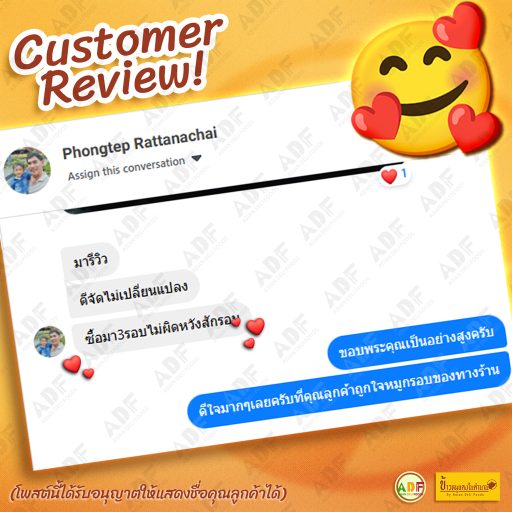 Home Review-132